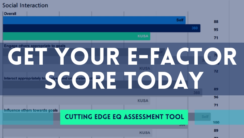 e-Factor Emotional Intelligence Assessment Tool